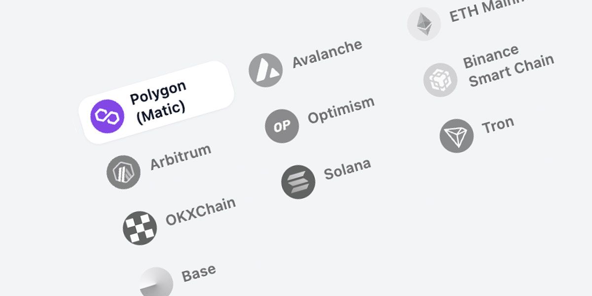 Which Crypto network to select